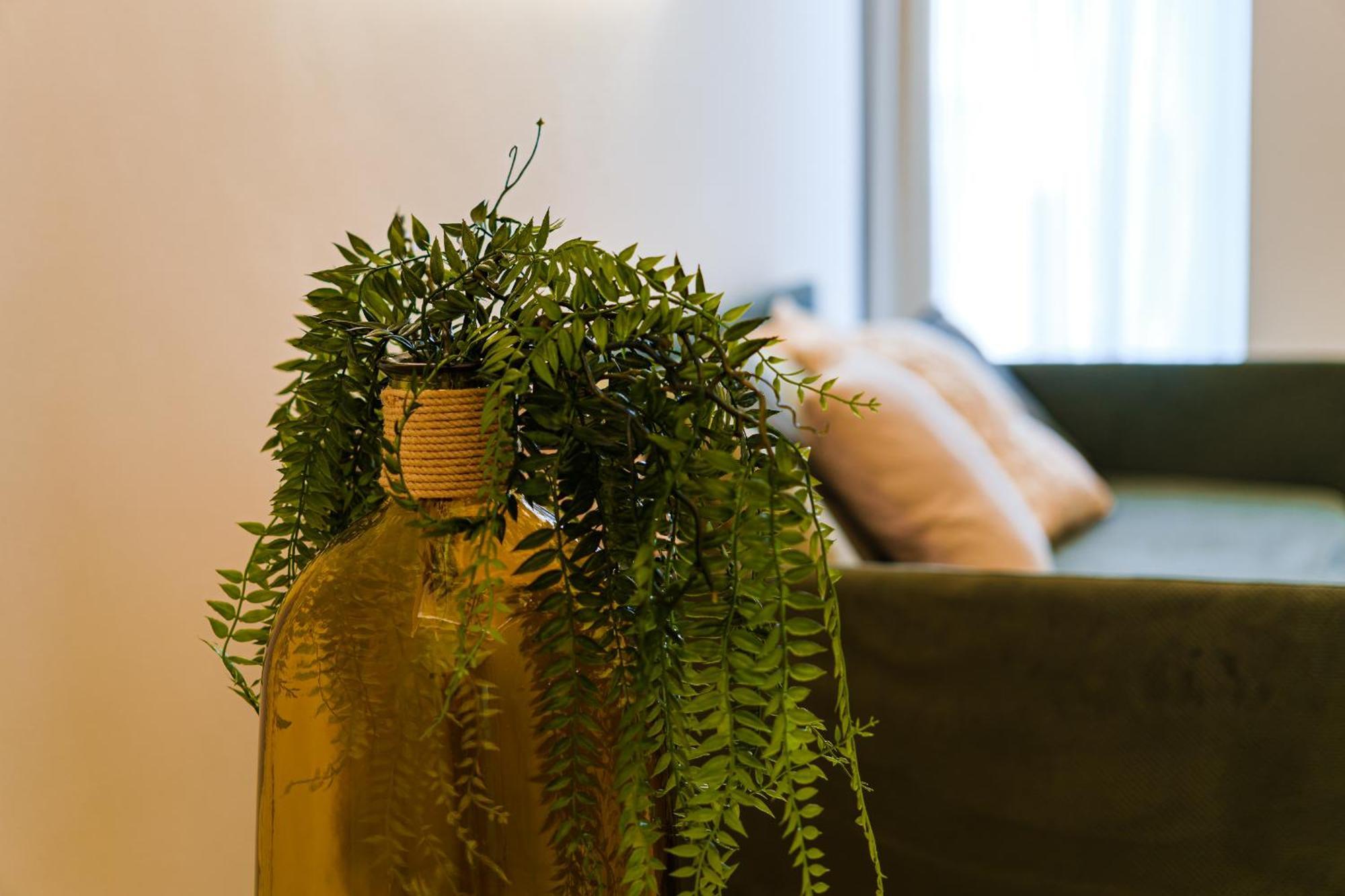 Helloapulia Charming Palazzo Clemente - Self-Catering Suites With Aircondition مونوبولي المظهر الخارجي الصورة
